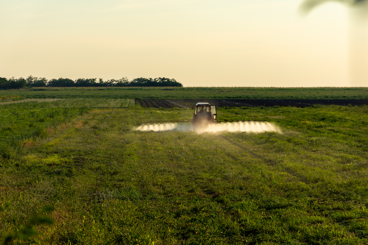 paraquat herbicide Parkinson's disease